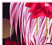 amuhinamori06