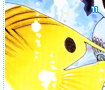 aquarium11