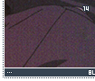 bluewolfsrain14