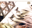 butterflies02