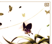 butterflies05