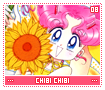 chibichibi08