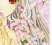 chii11