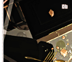 dowry06