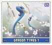 dragontypes105