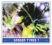 dragontypes119