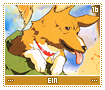 ein16