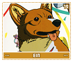 ein19