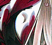 eternalvow12