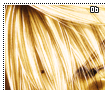genjosanzo06