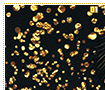 glitterbutterflies01