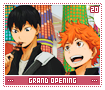 grandopening20