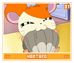 hamtaro01