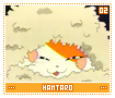 hamtaro02