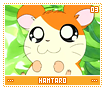 hamtaro03