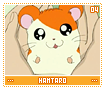 hamtaro04
