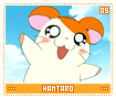 hamtaro05