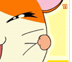 hamtaro11