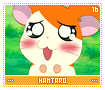 hamtaro16