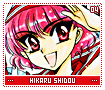 hikarushidou04
