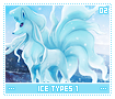 icetypes102