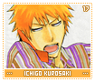 ichigokurosaki17