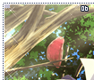 ioriizumi06
