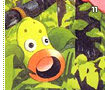 jungle11