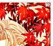 kakyoukuzuki07