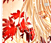 kakyoukuzuki10