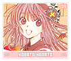 kobatohanato09