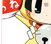 kohinaichimatsu10
