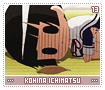 kohinaichimatsu13