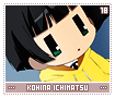 kohinaichimatsu18