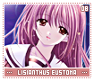 lisianthuseustoma08