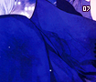 moonlightvampires07