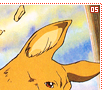 mushroomsamba05