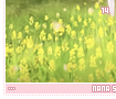 nanasakurai14