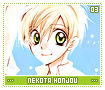 nekotahonjou03