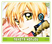 nekotahonjou13
