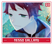 nessogalland03