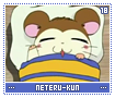 neteru-kun18