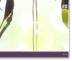 ppp20