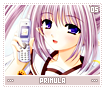 primula05