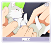 puck02
