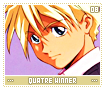 quatrewinner08
