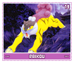 raikou13