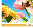 rinhoshizora14