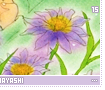 rinkobayashi15