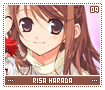 risaharada09